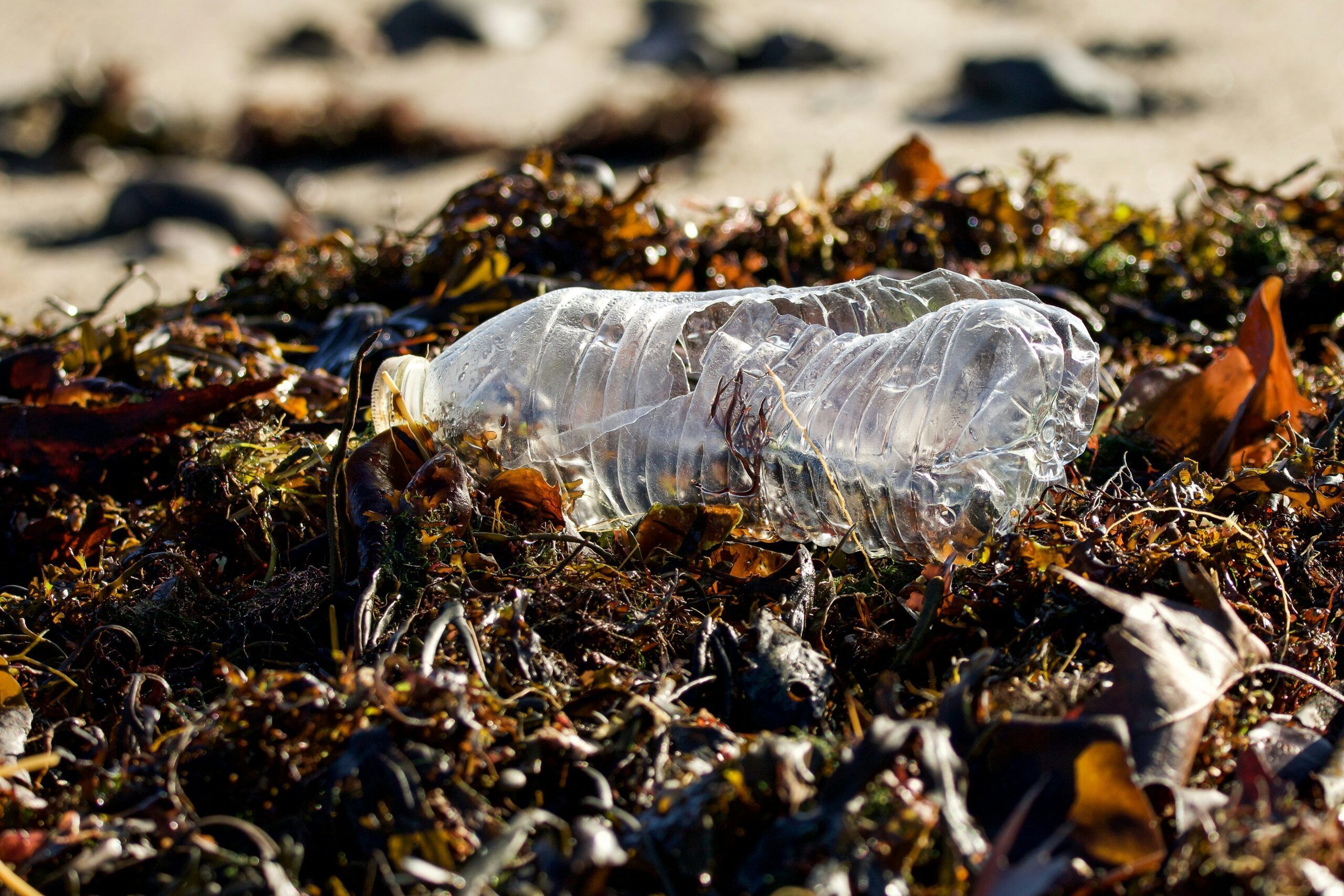 Marine plastic pollution with a plastic bottle on a beach
