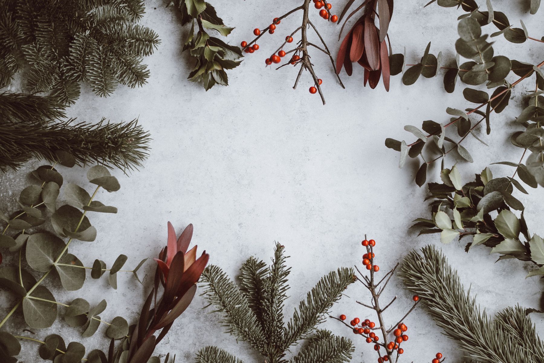 Various Christmas-related plants arranged in circle with grey background.
