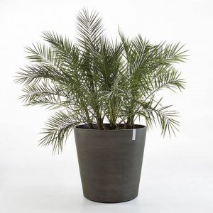 ECOPOT Sustainable Plant Pots