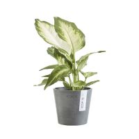 Amsterdam Mini ECOPOTS